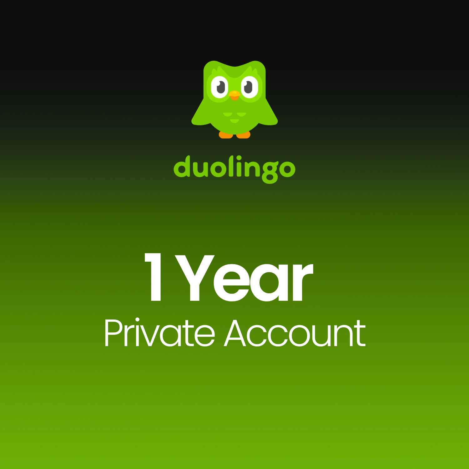 Duolingo Plus Lifetime